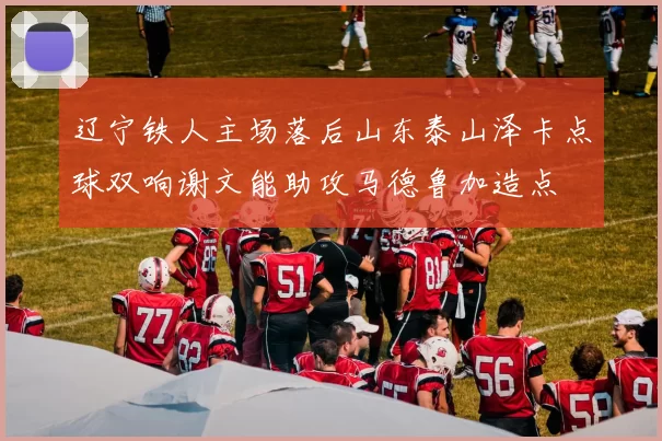 辽宁铁人主场落后山东泰山泽卡点球双响谢文能助攻马德鲁加造点