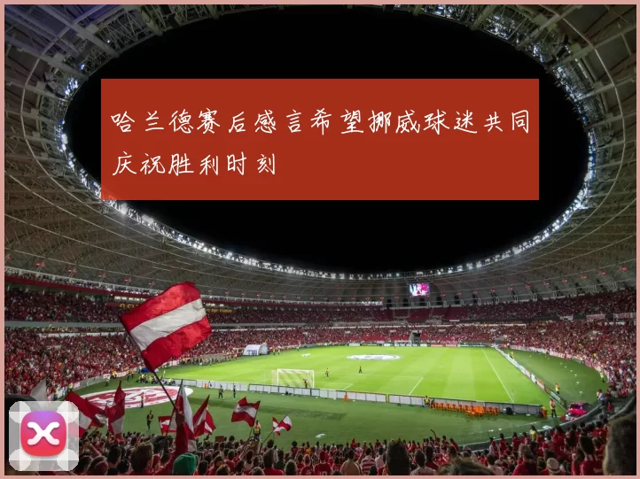 哈兰德赛后感言希望挪威球迷共同庆祝胜利时刻