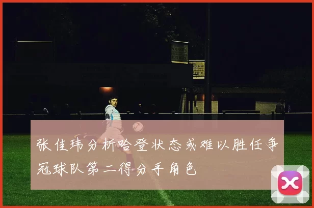 张佳玮分析哈登状态或难以胜任争冠球队第二得分手角色